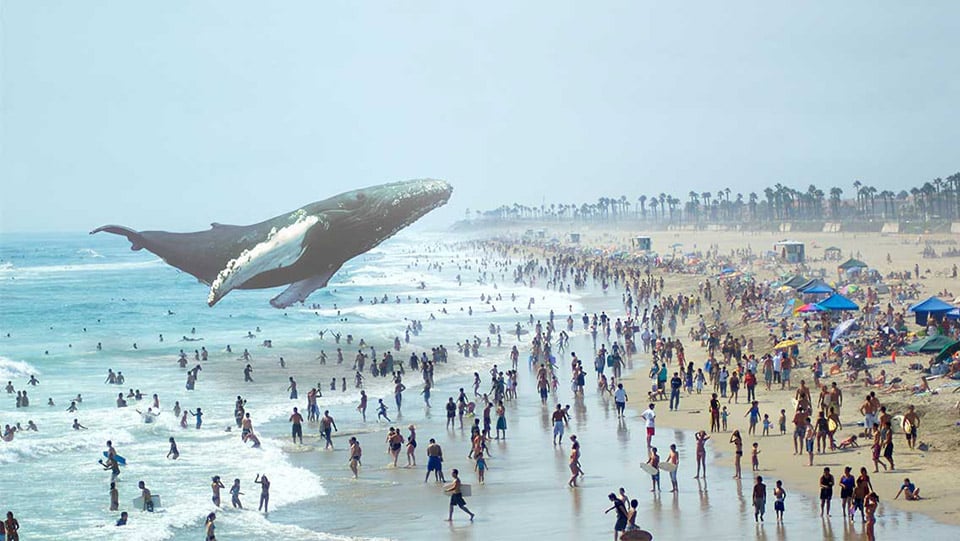 The Most Backed Augmented and Virtual Reality Startup - Magic Leap